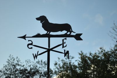 Dachshund Smooth - haired weather vane